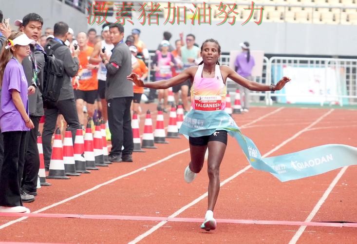 骑士争冠路上数据表现耐人寻味