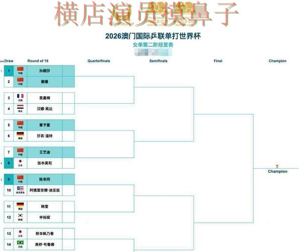 世界杯买球平台整理合集：覆盖数据分析+直播与入口方式 - 世界杯直播