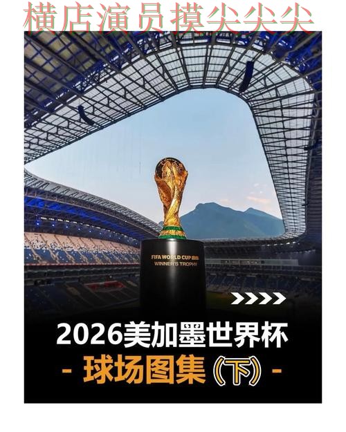 2026世界杯背景下的世界杯买球网站盘点与真实体验直播解析 2026世界杯背景下的世界杯买球网站盘点与真实体验直播解析